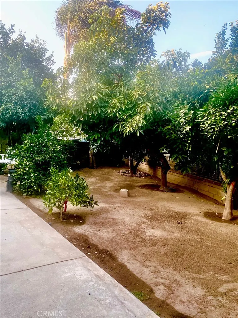 1949 S Palm Place