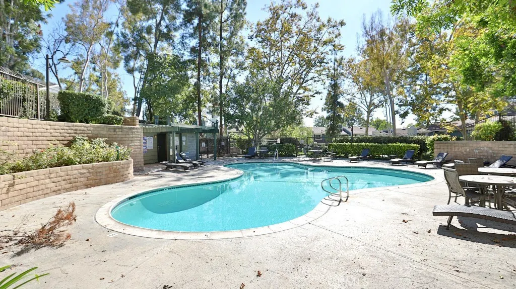 3538 Bottlebrush