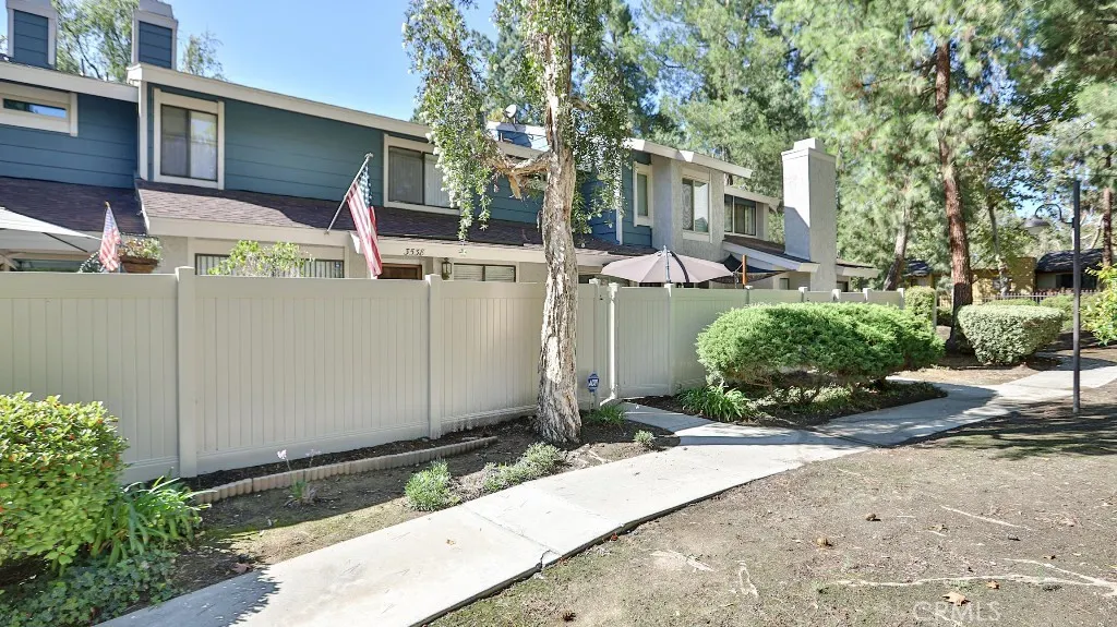 3538 Bottlebrush