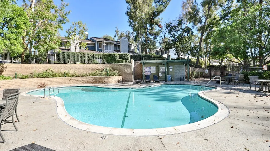 3538 Bottlebrush