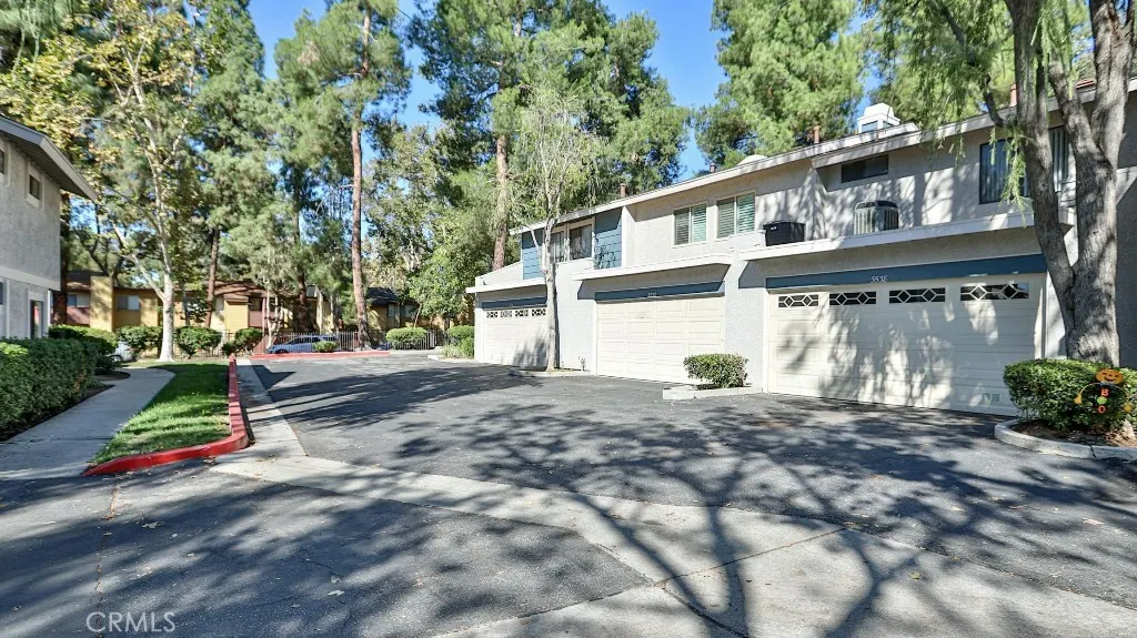 3538 Bottlebrush