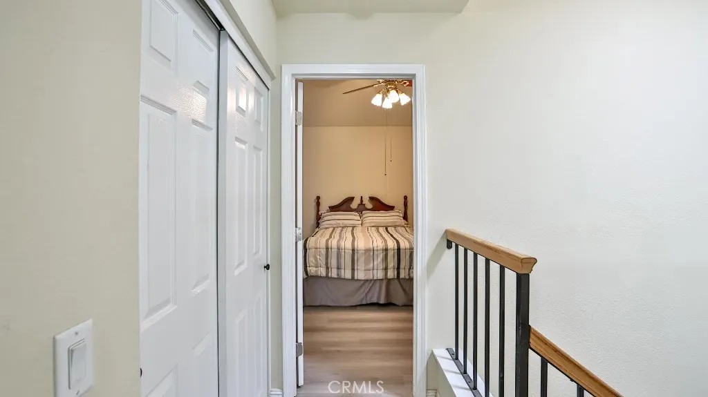 3538 Bottlebrush