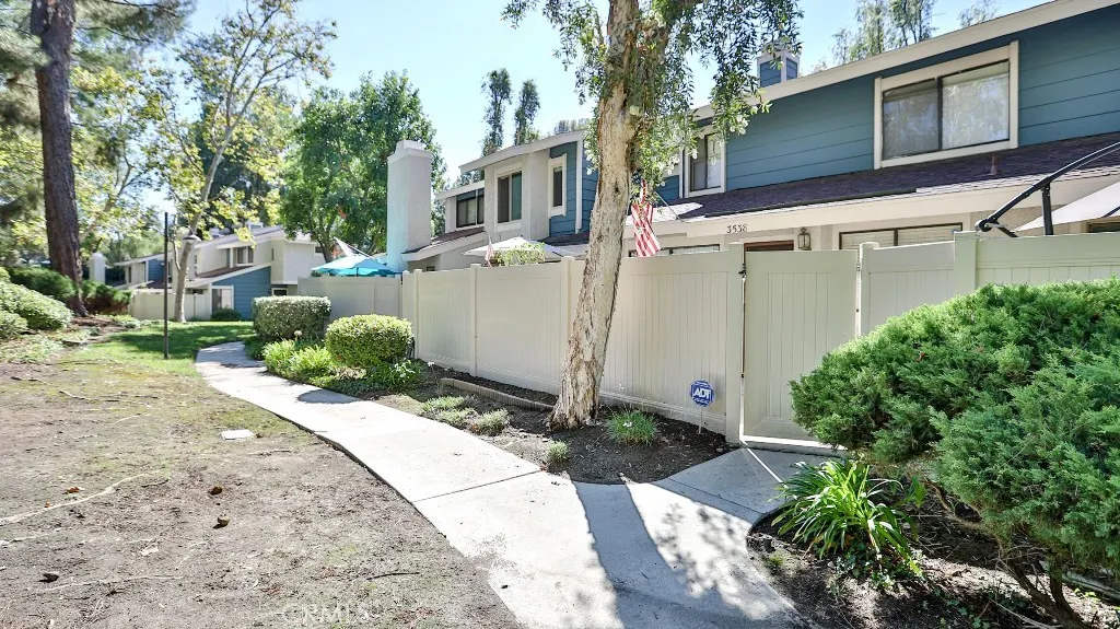 3538 Bottlebrush