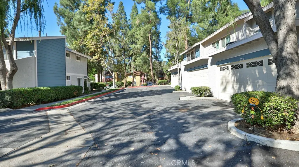 3538 Bottlebrush