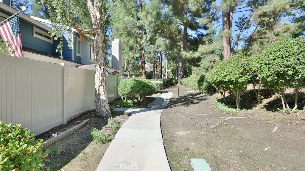 3538 Bottlebrush