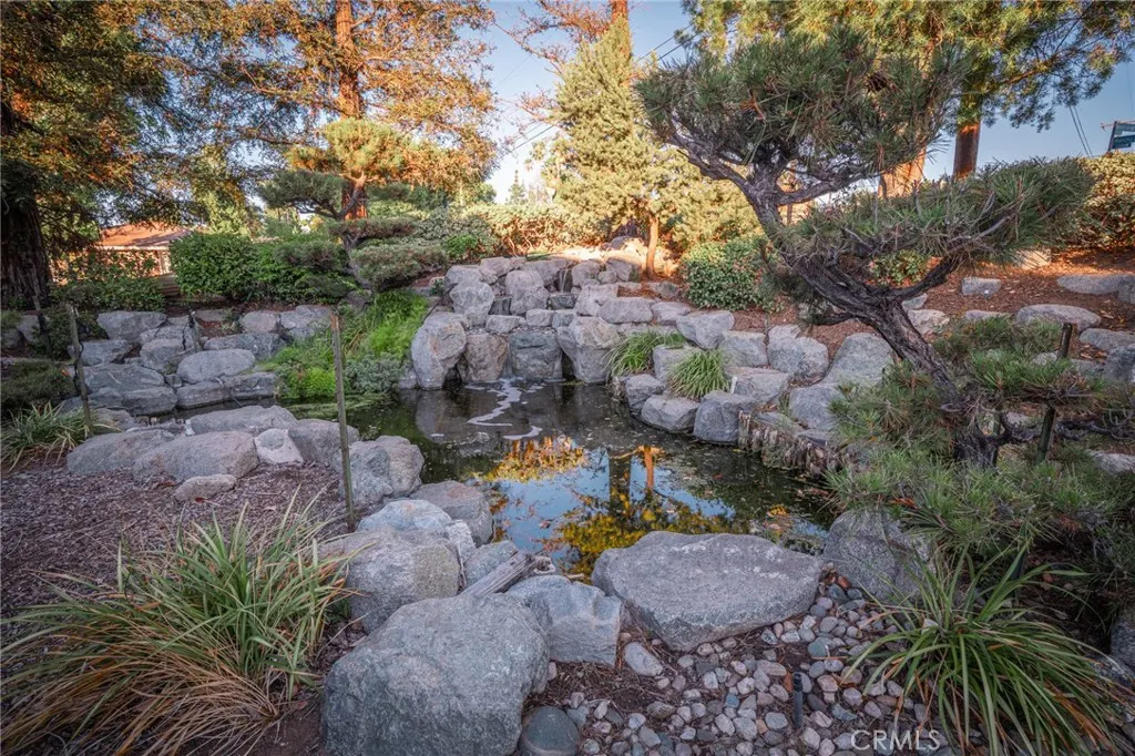 3455 Rancho Rio Bonita