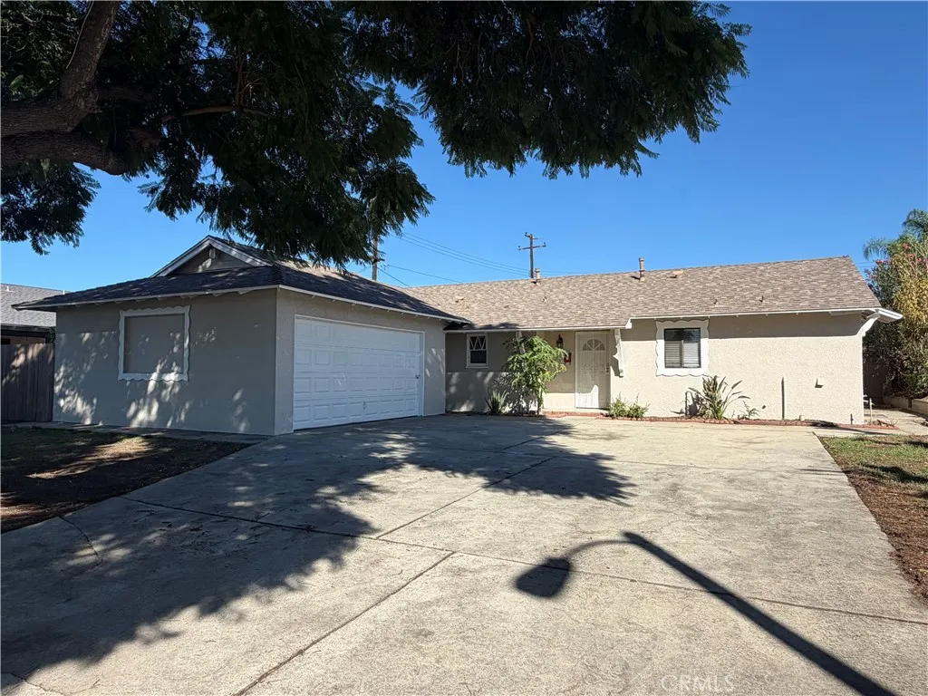 1207 Selkirk