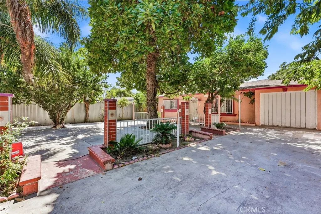 12375 Poinsettia