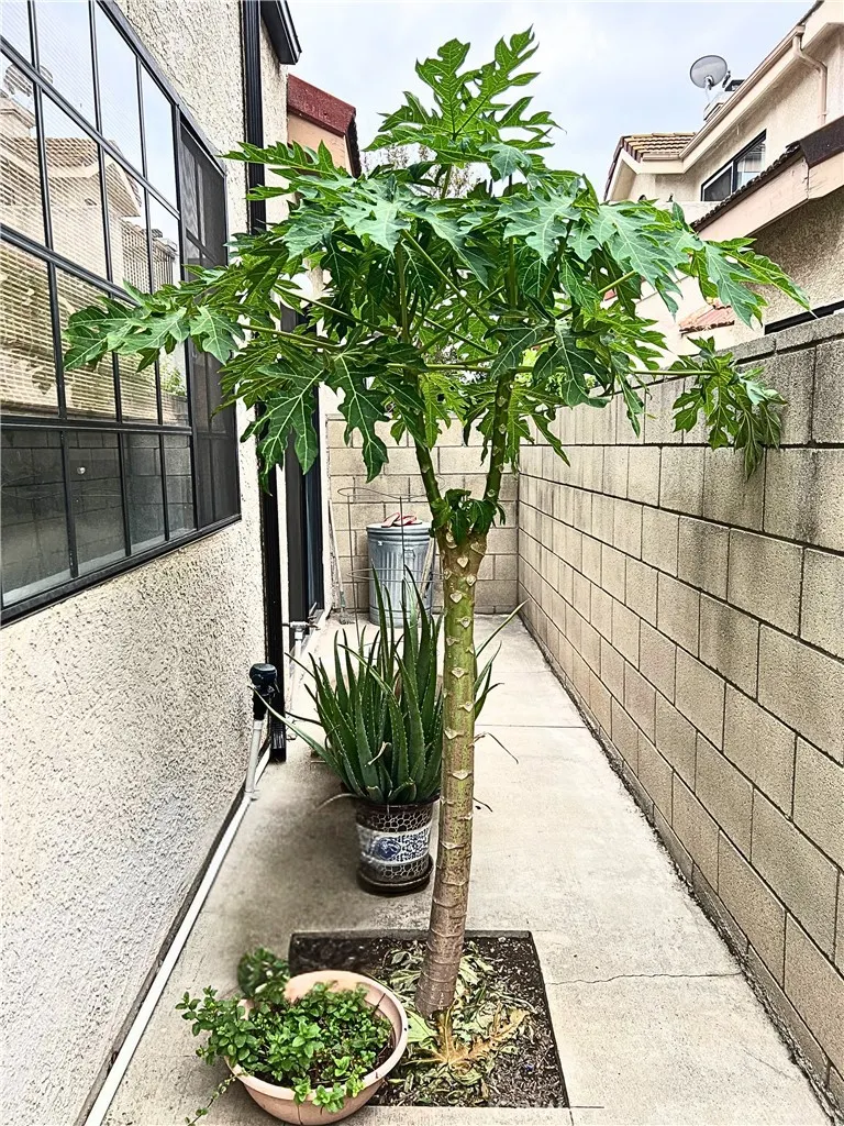 544 N Orange, #B