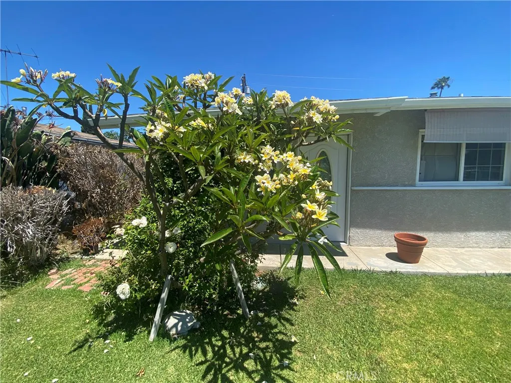 550 Whiteford