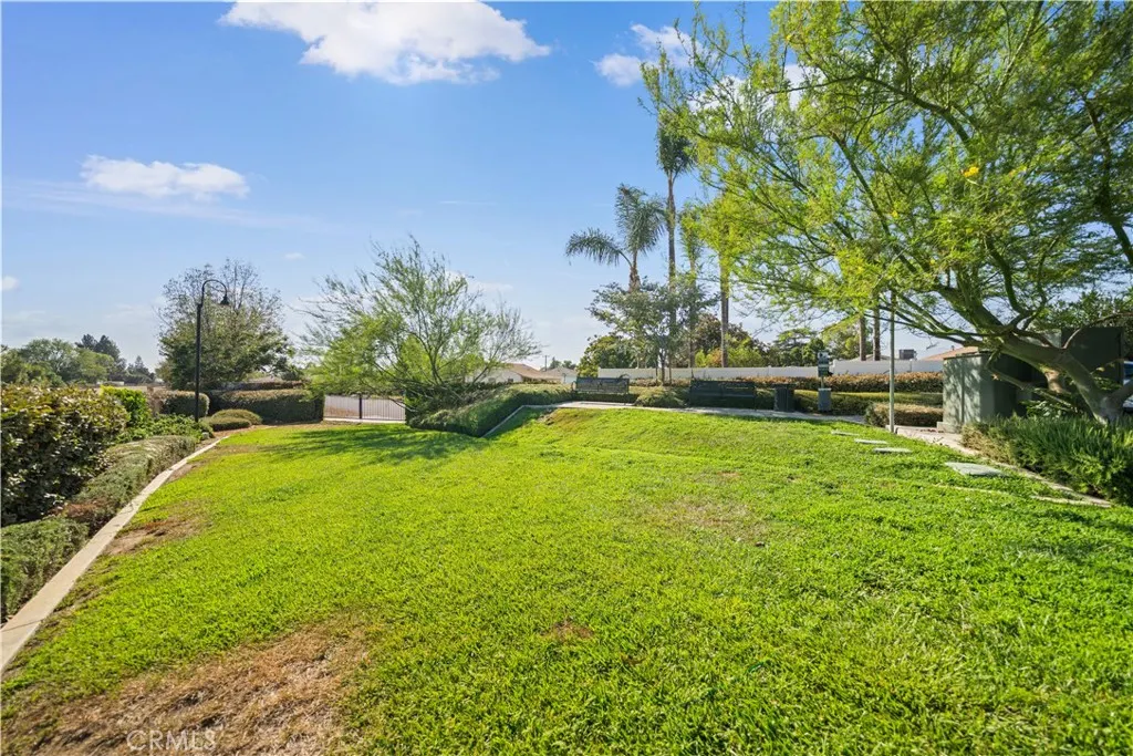 1530 W Cameron