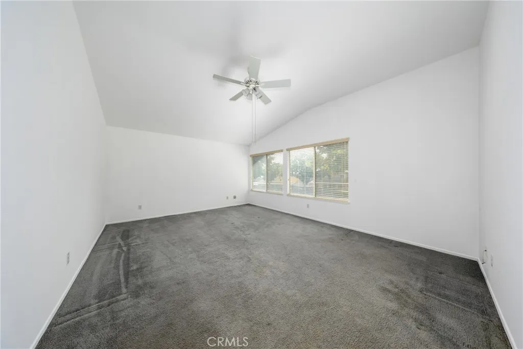 3142 Stallion Street