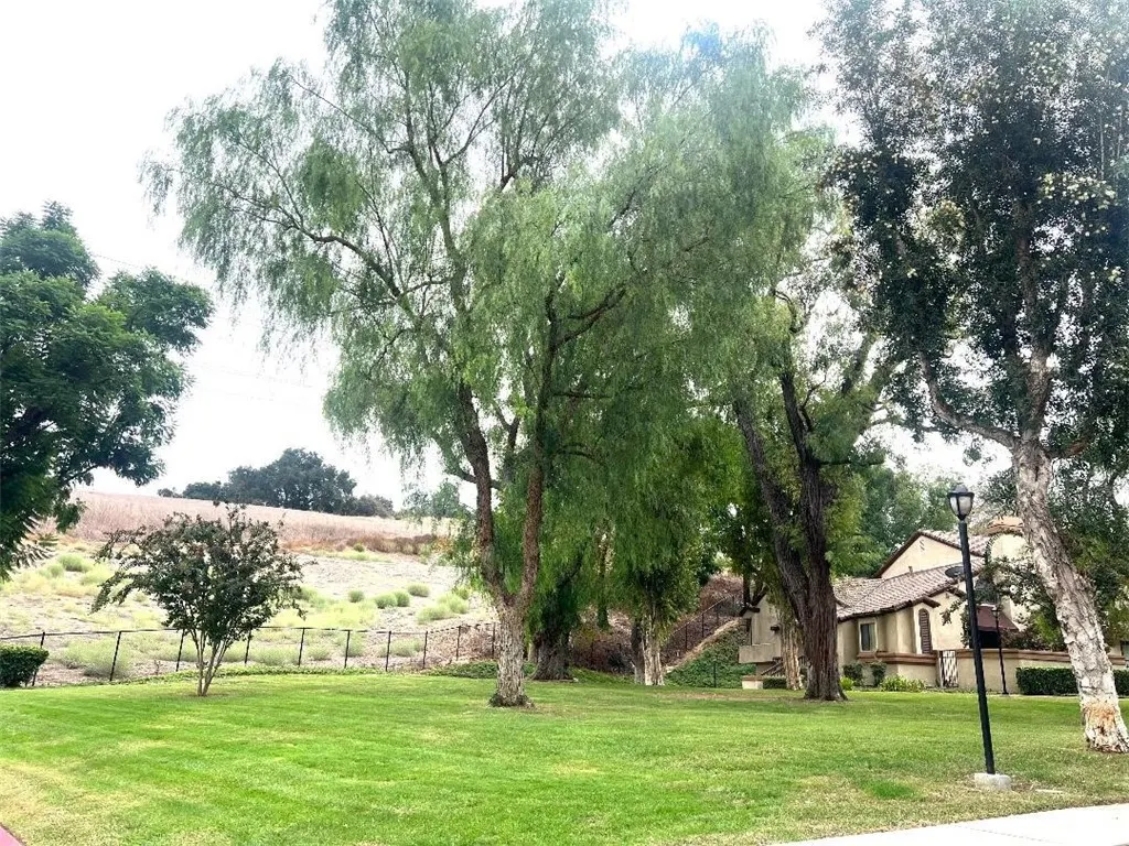 22 Mesquite