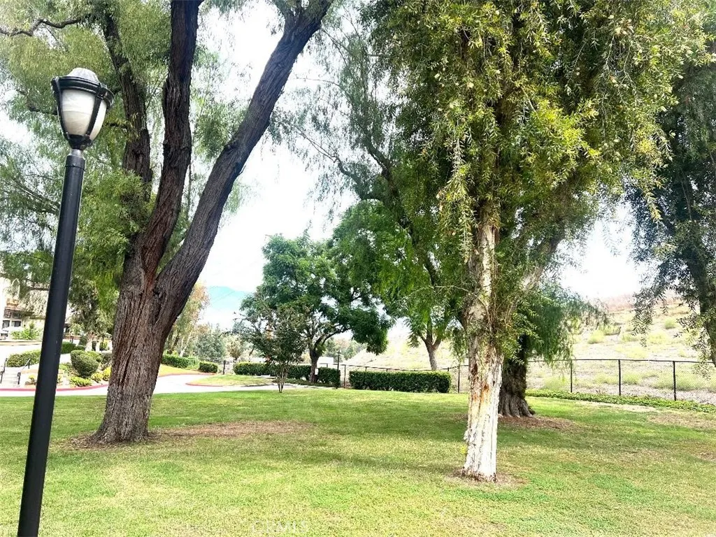 22 Mesquite