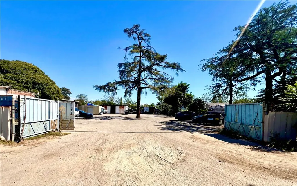 11253 Roswell