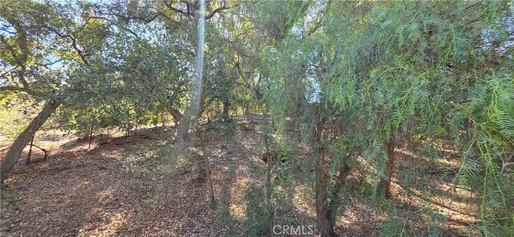 2131 Carbon Canyon