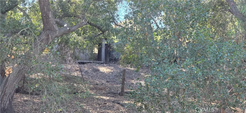 2131 Carbon Canyon