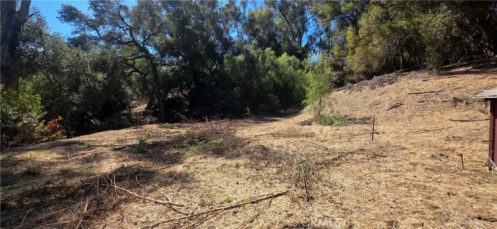 2131 Carbon Canyon