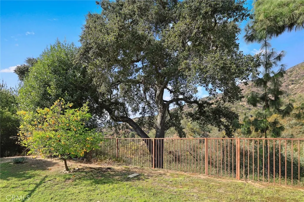 281 Spinks Canyon