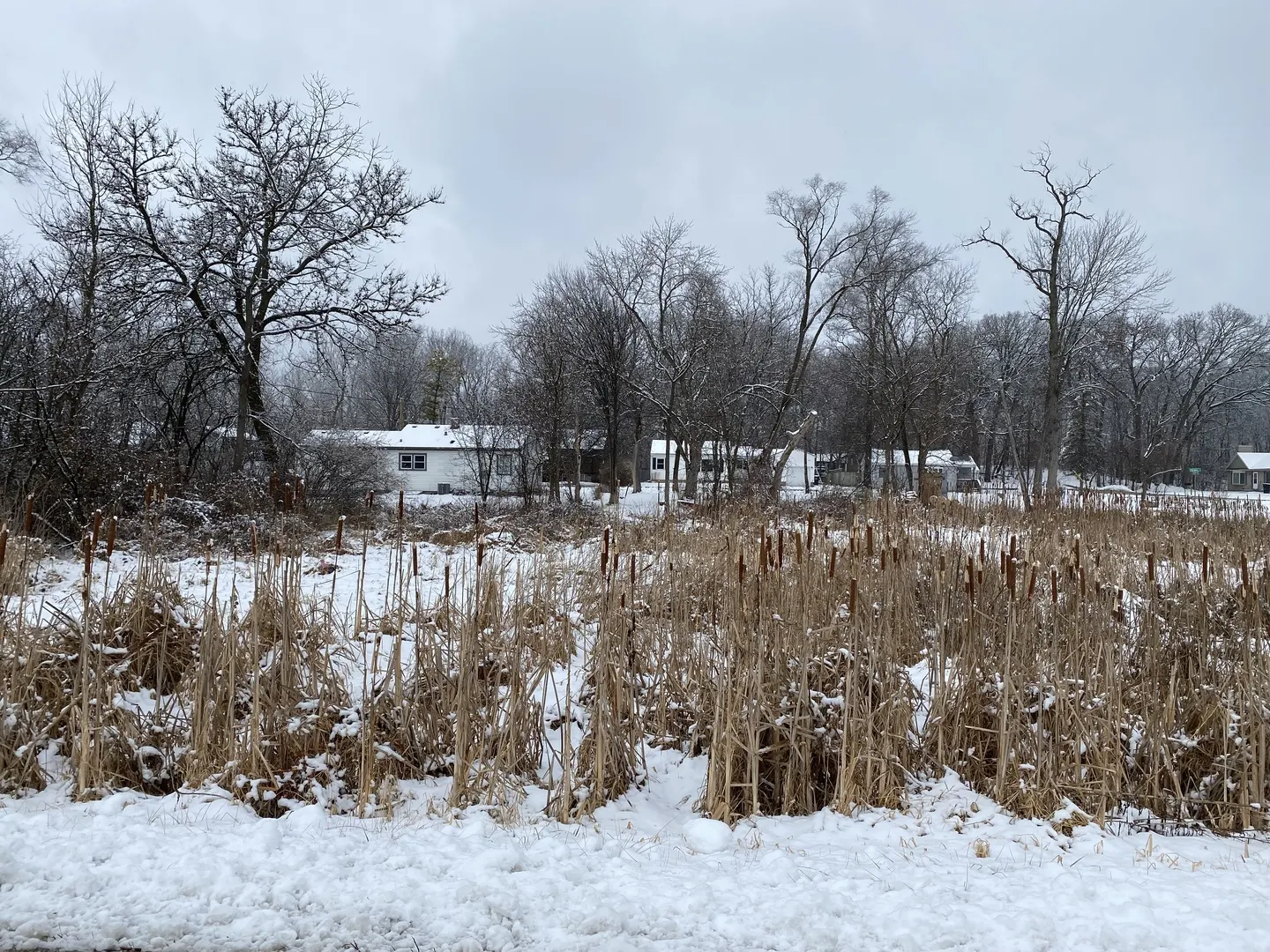 706 Henry Trail IL