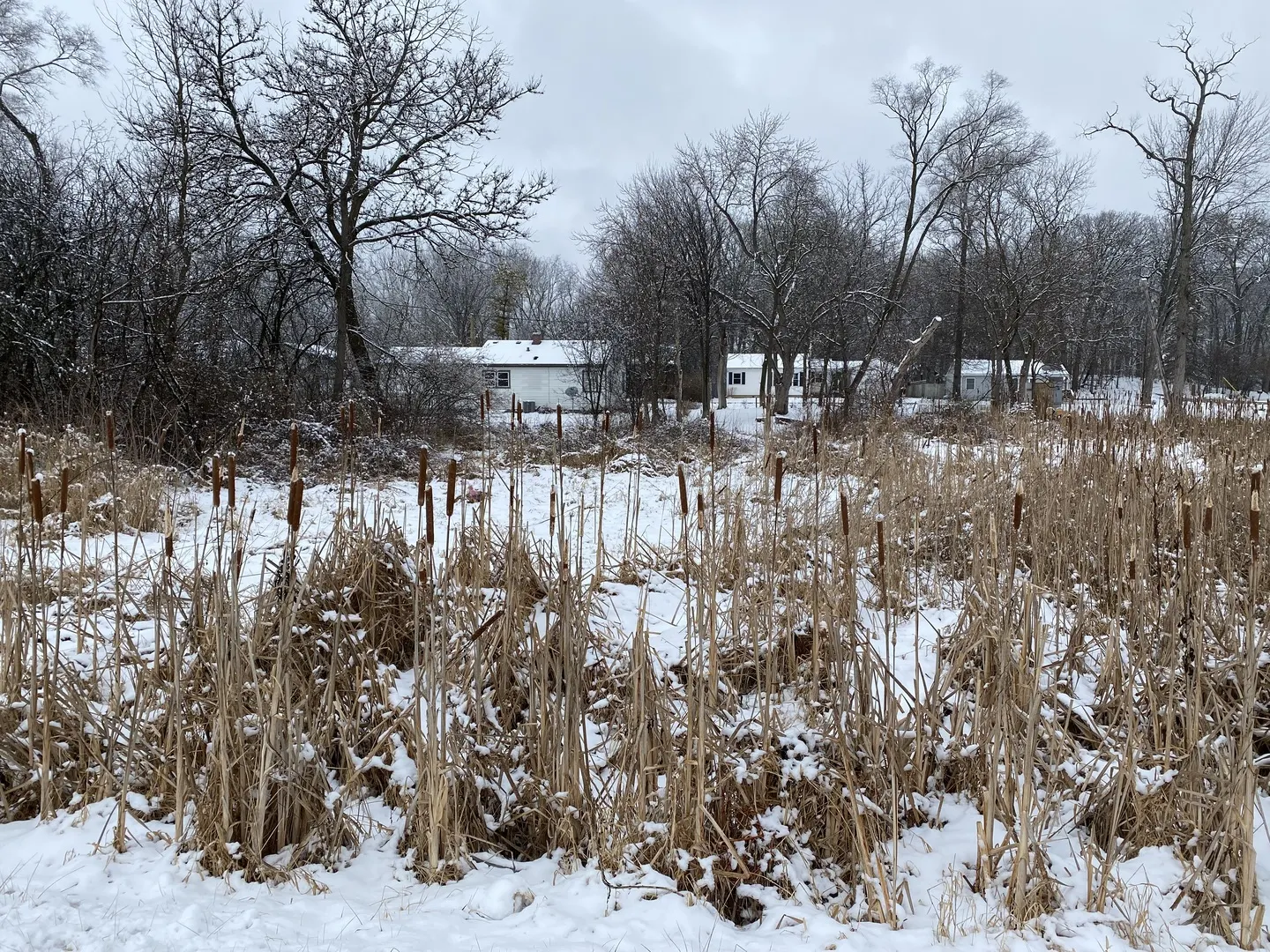 706 Henry Trail IL