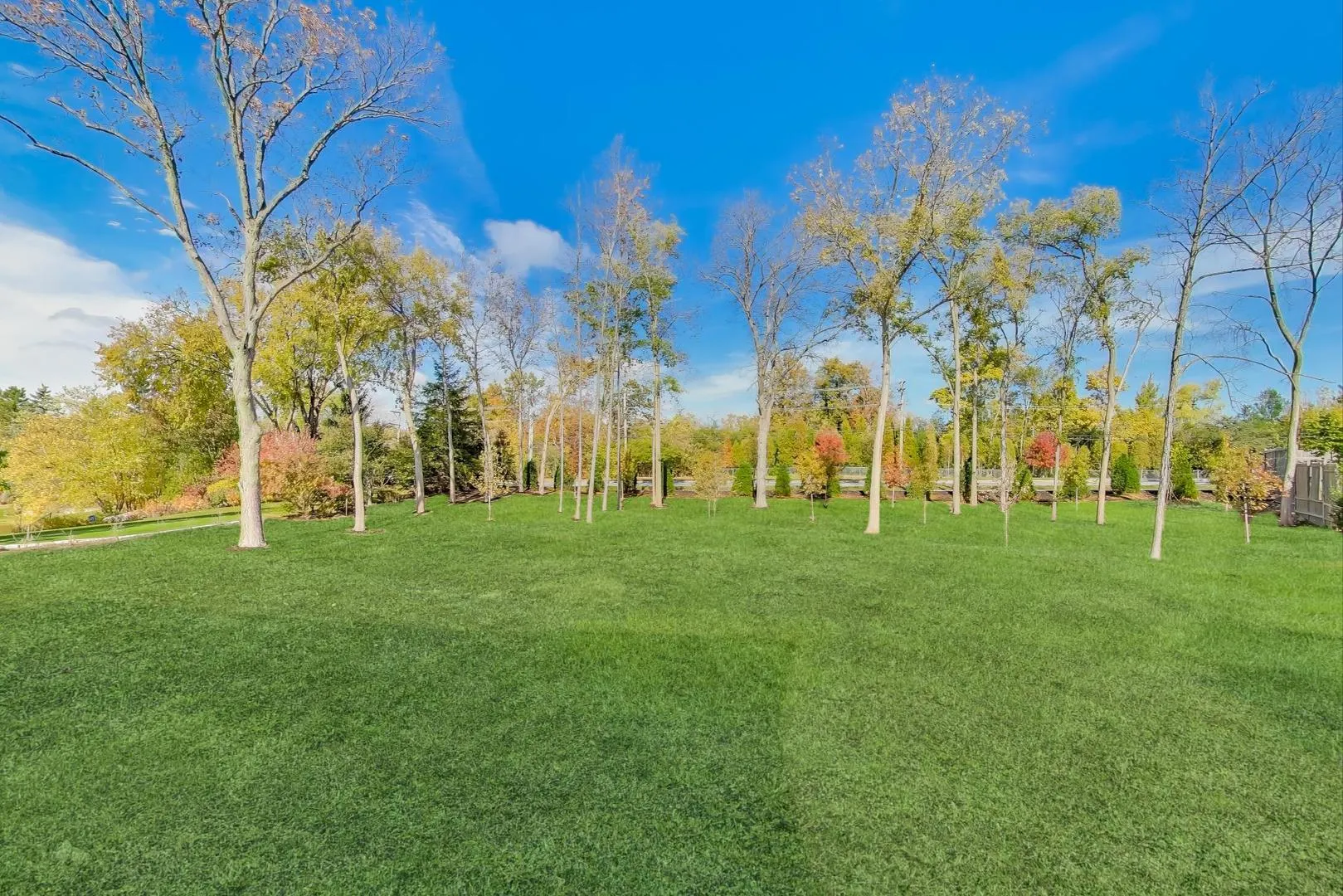 1839 Shelley Court IL