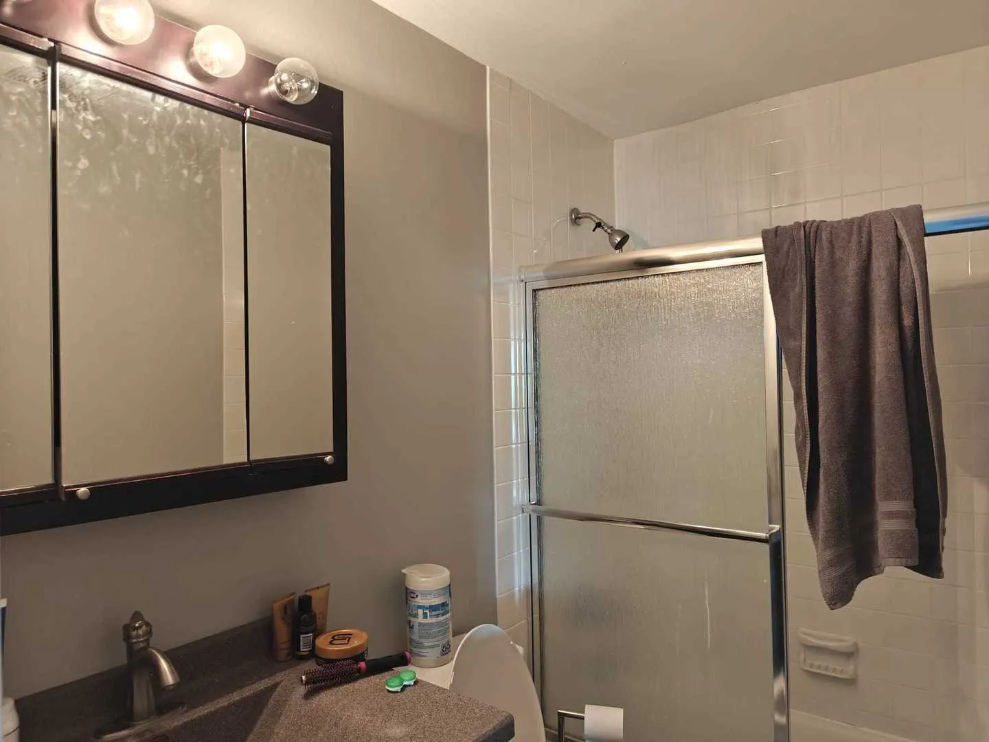 425 Walnut Creek Lane 1401 IL