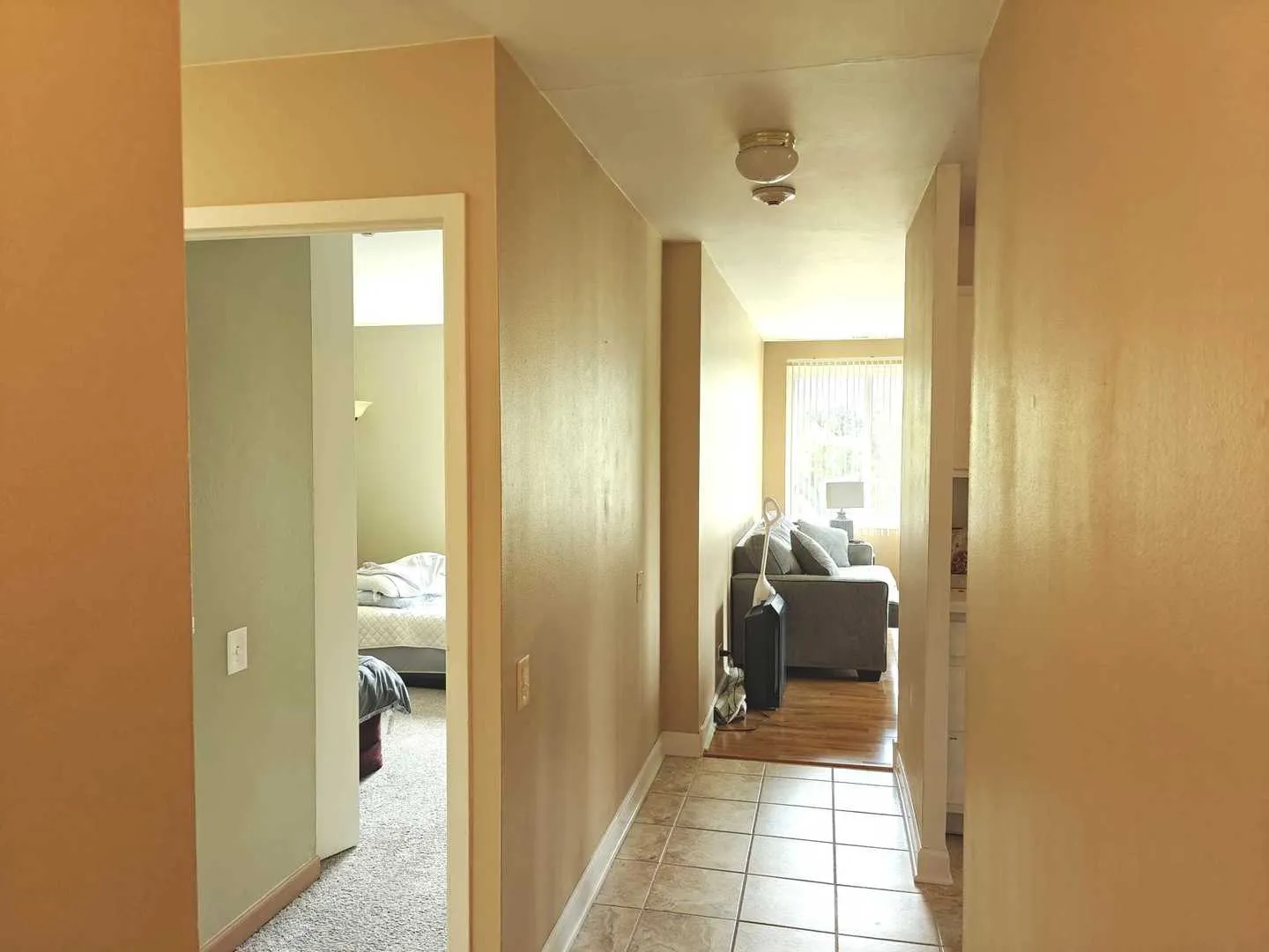 425 Walnut Creek Lane 1401 IL