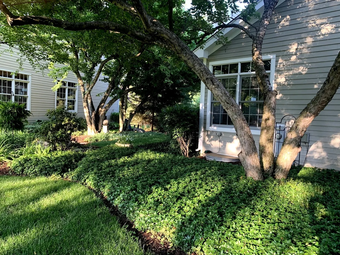 1919 Waverly Circle IL