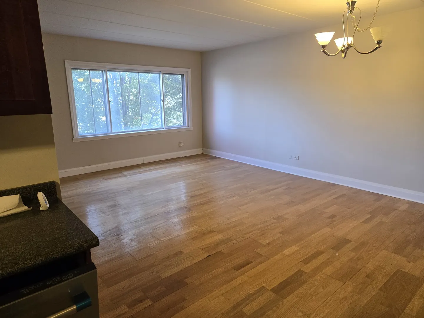 3909 W W 123RD ST. Street 205A IL