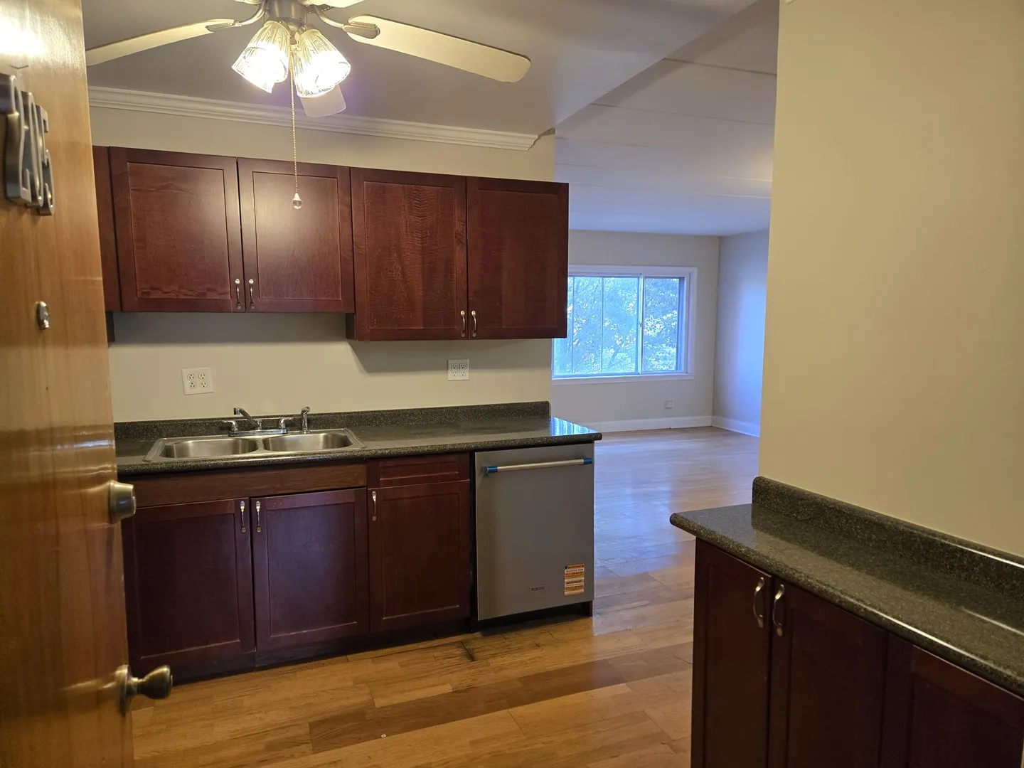 3909 W W 123RD ST. Street 205A IL