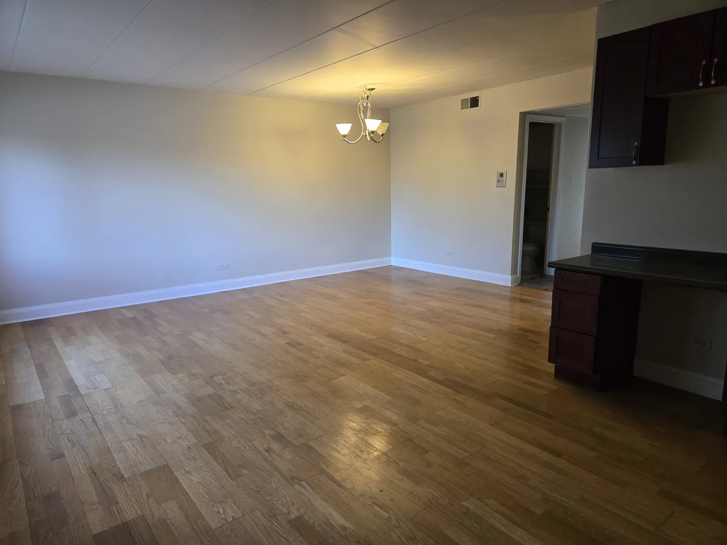 3909 W W 123RD ST. Street 205A IL