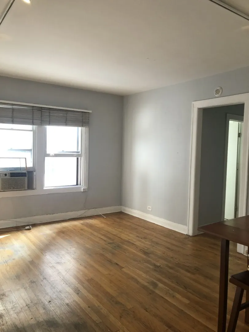 2324 N LINCOLN PARK WEST Avenue 3C IL