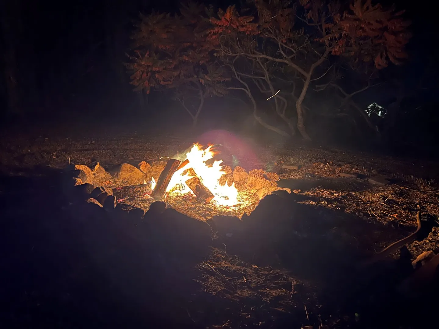 5770 Indian Trail IL