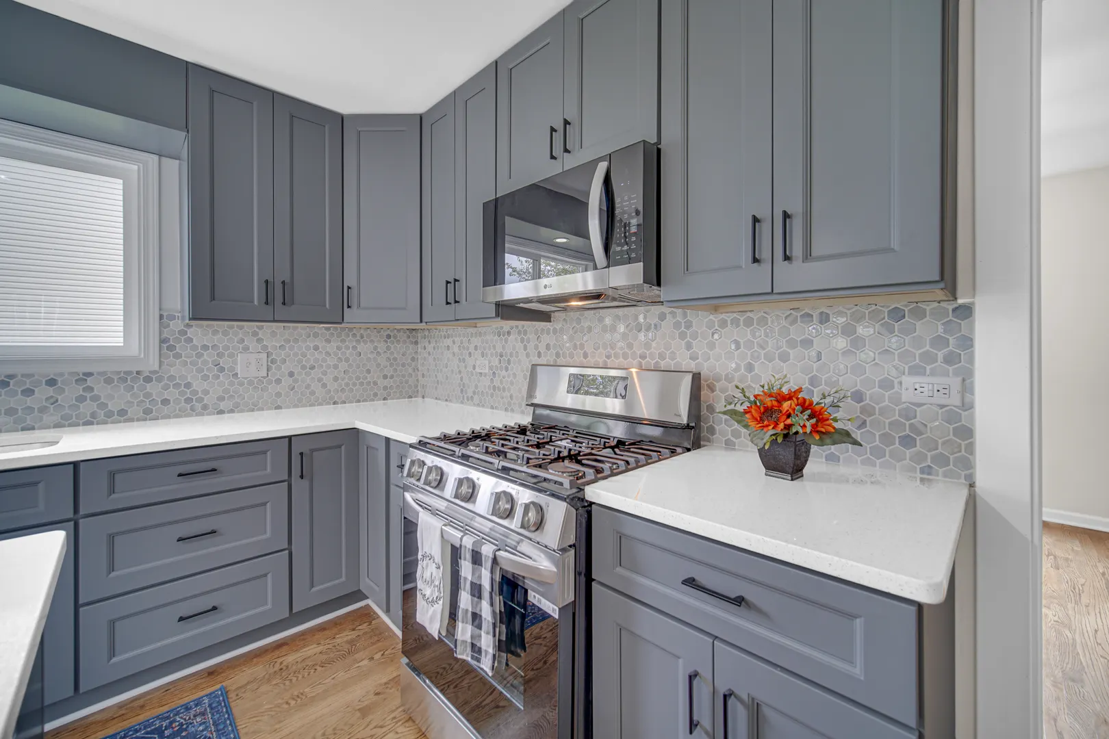 204 Butte View Drive IL