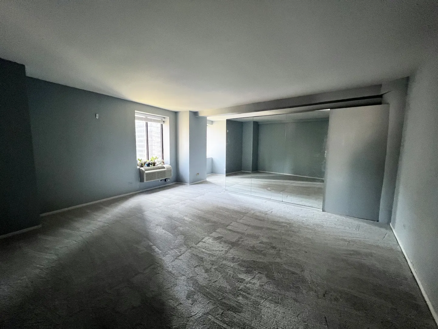 345 N Canal Street 1205 IL