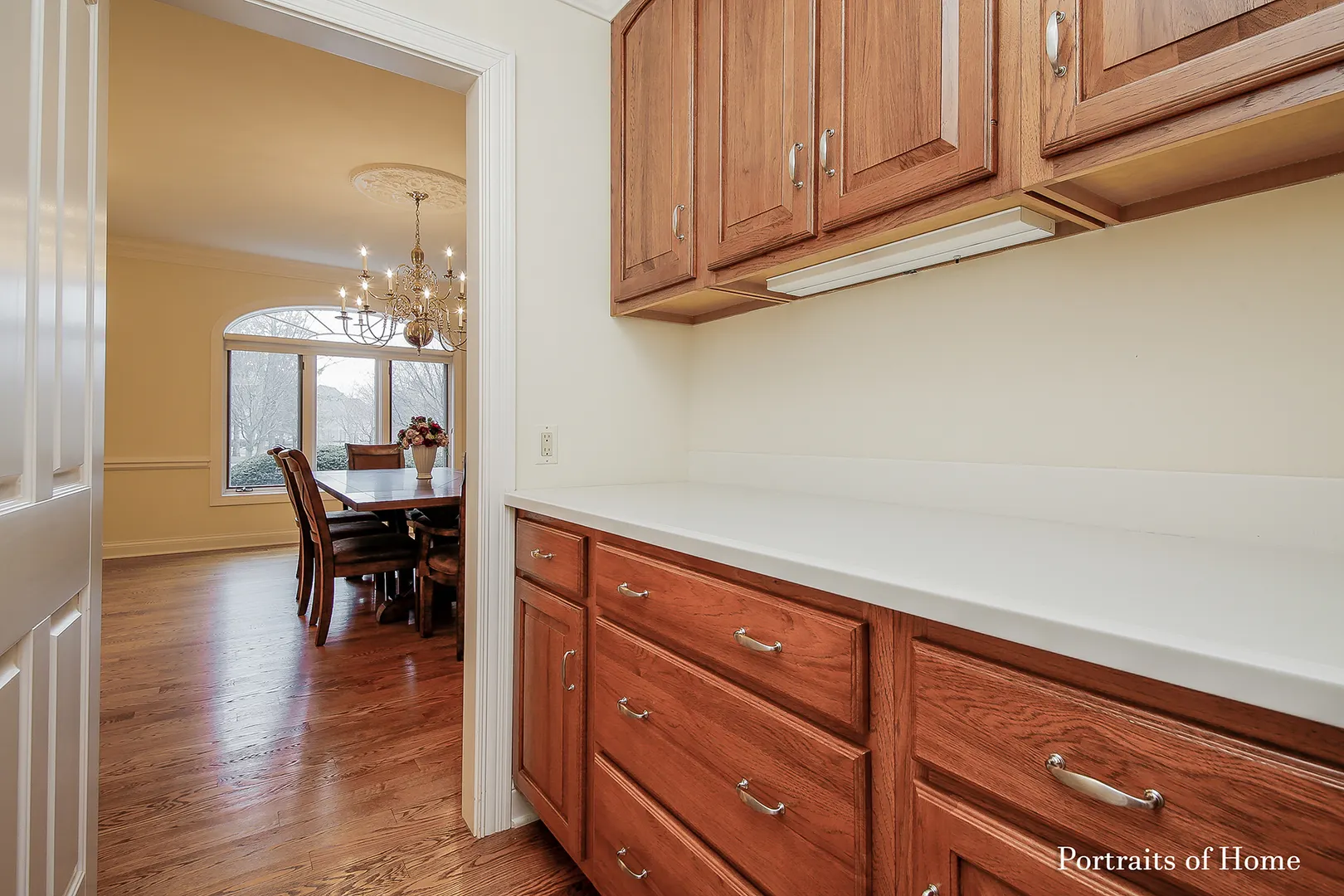 1115 Bridgeview Lane IL