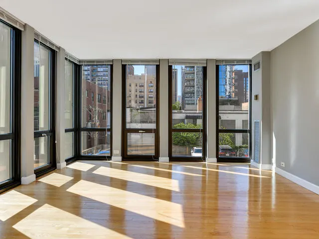 1 E Scott Street 404 IL