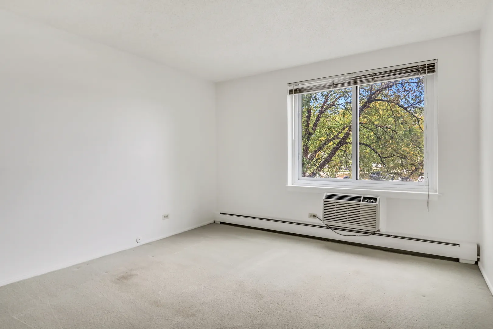 1107 S Old Wilke Road 201 IL