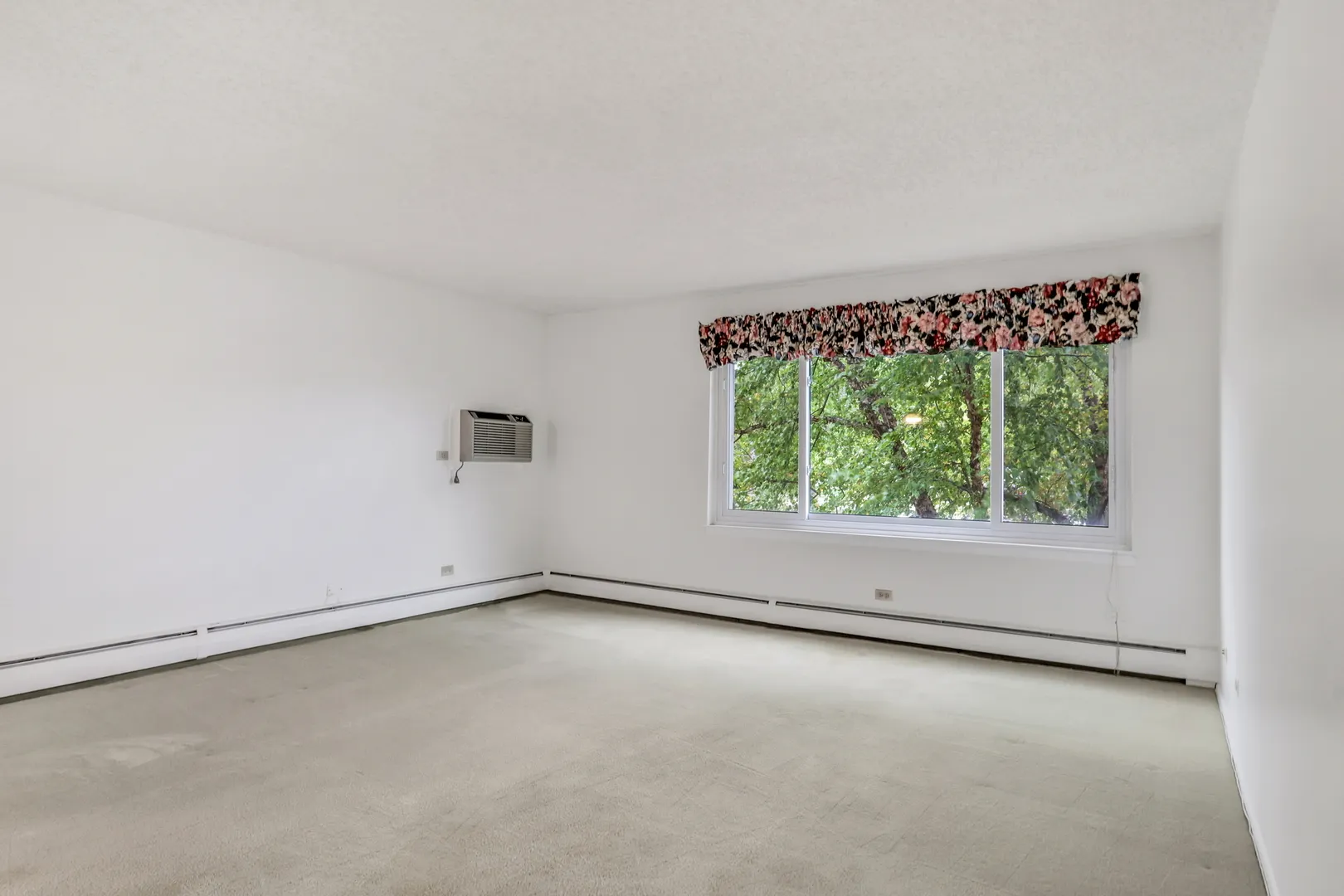 1107 S Old Wilke Road 201 IL