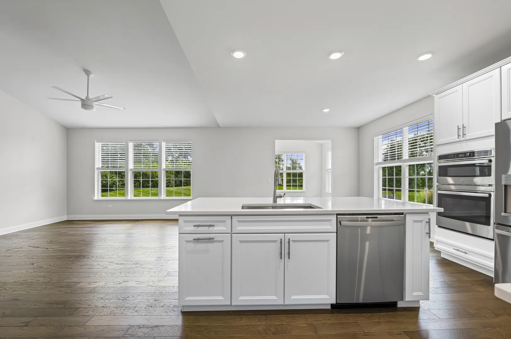 1117 Black Cherry Drive IL