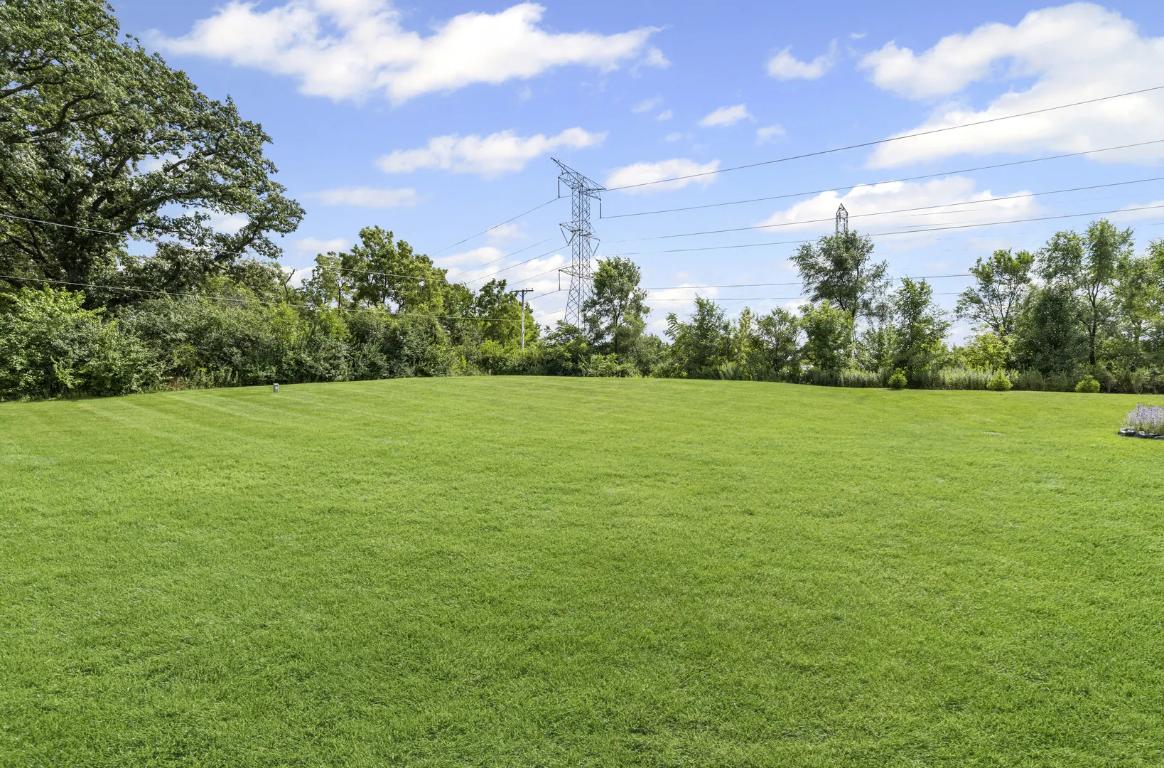1117 Black Cherry Drive IL