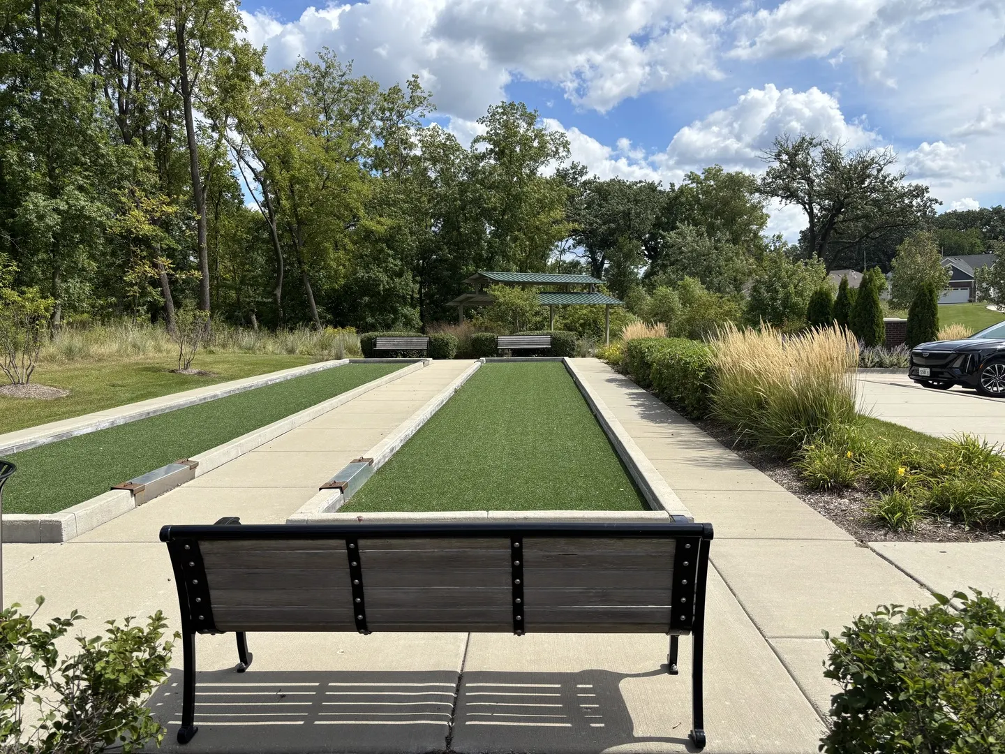 1117 Black Cherry Drive IL