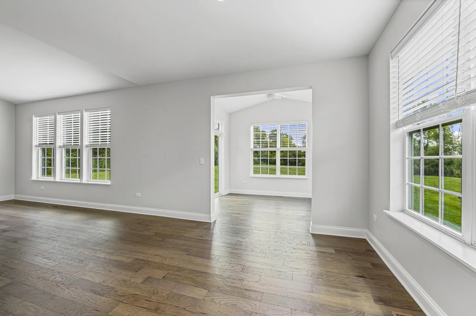 1117 Black Cherry Drive IL