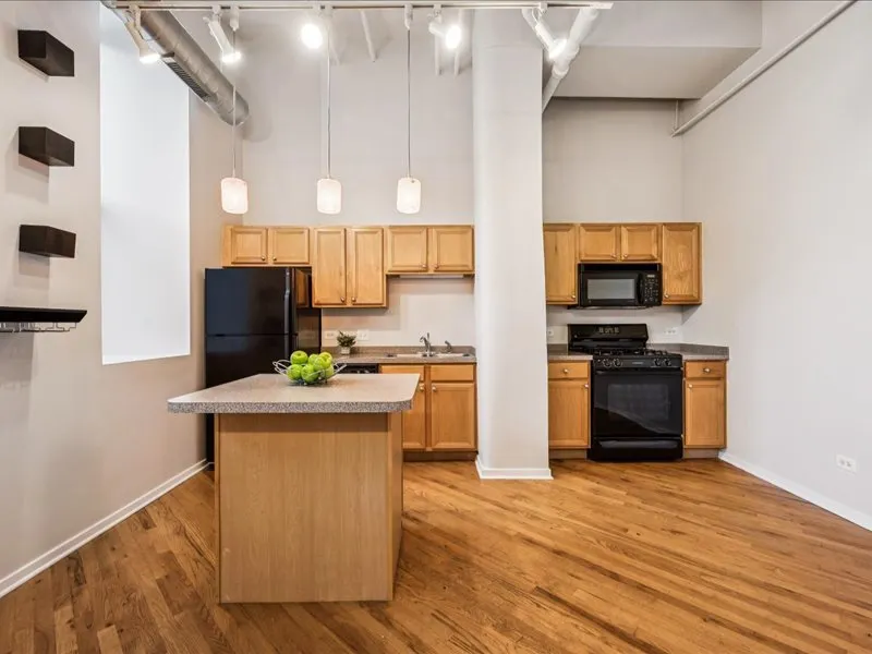 500 S Clinton Street 131 IL