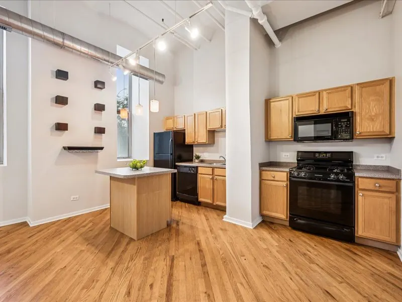 500 S Clinton Street 131 IL