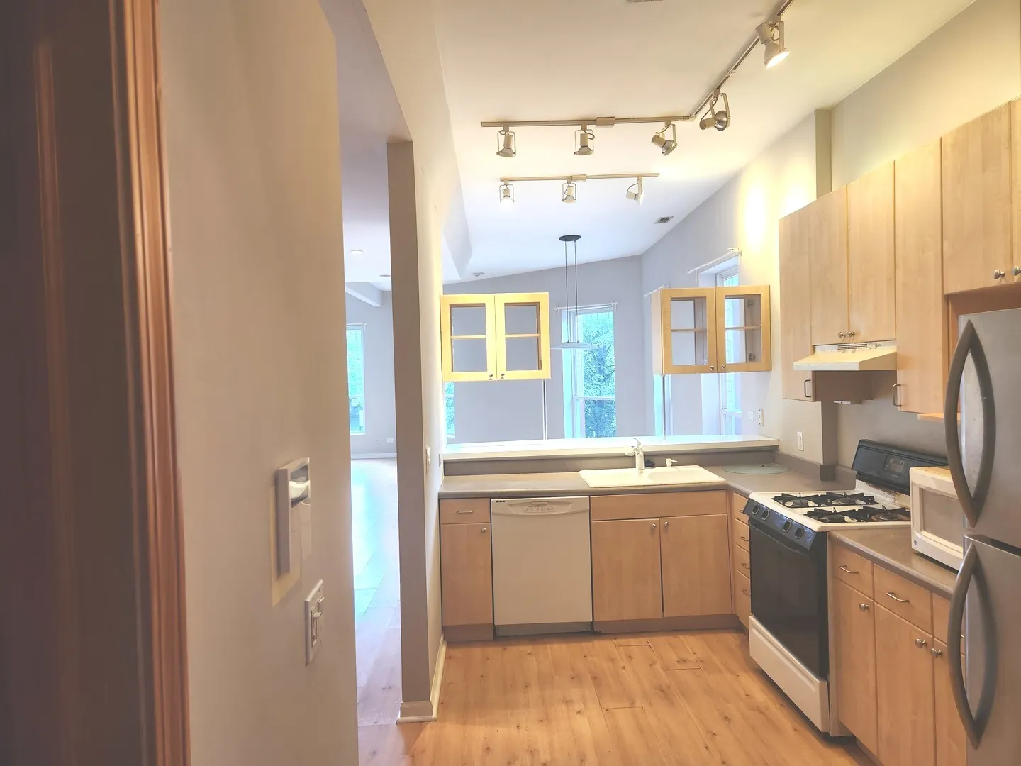 2109 W Polk Street 2 IL