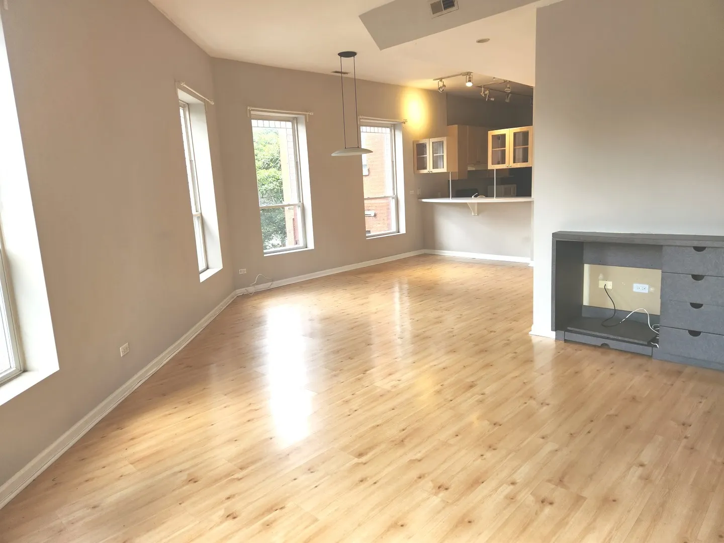 2109 W Polk Street 2 IL