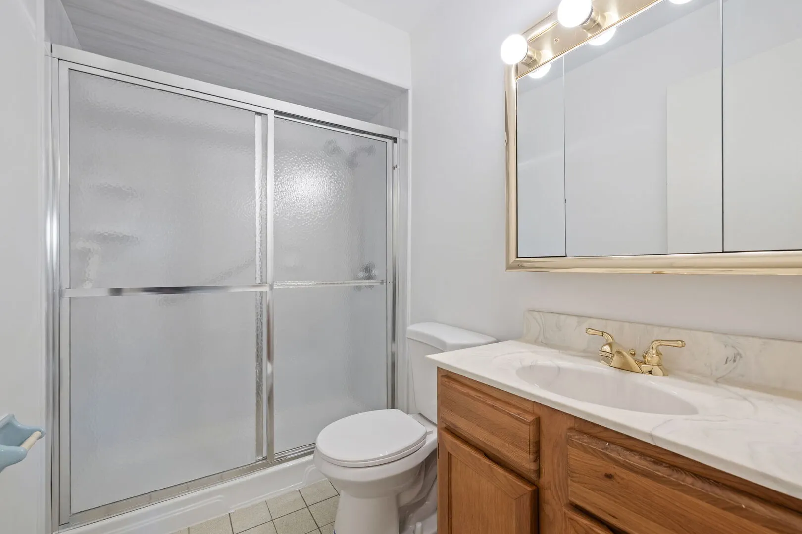 1501 Darien Lake Drive 305 IL