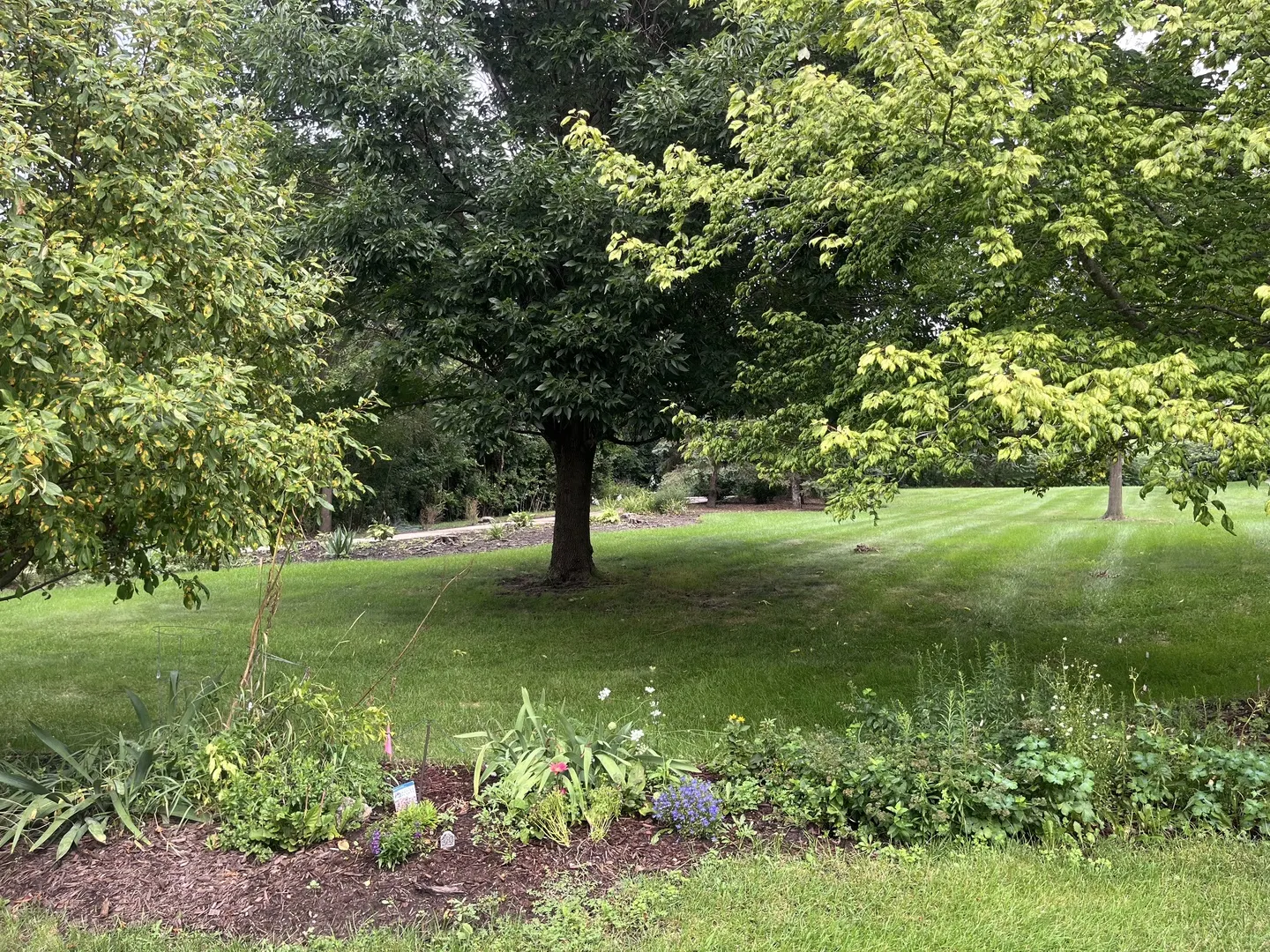 841 Serene Trail IL